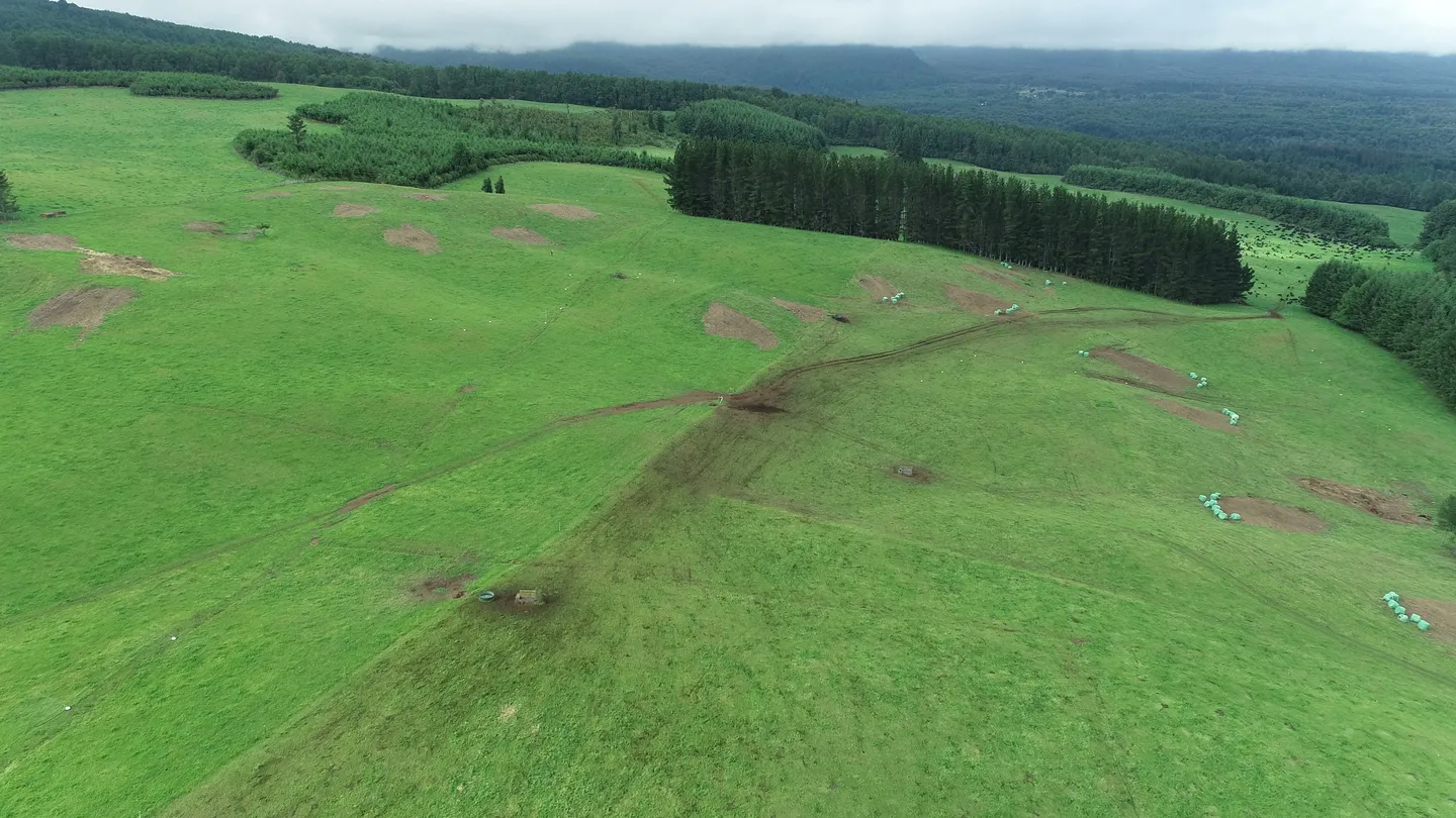 Pradera verde en lomas con líneas de aspersores pequeños, fardos de ensilaje envueltos en plástico verde y un bosquete de coníferas.