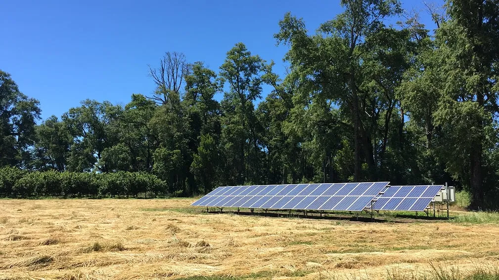 Dos mesas de paneles fotovoltaicos fijos sobre pasto recién cortado, con un gabinete en postes y árboles altos detrás.