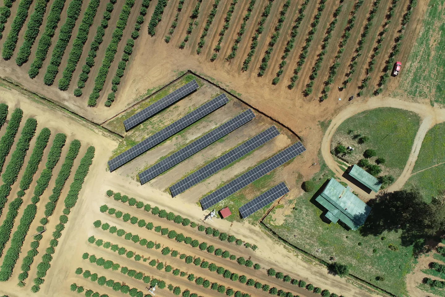 Filas paralelas de paneles fotovoltaicos en un recinto con zanja, rodeado por hileras de huerto, caminos de tierra y una casa.