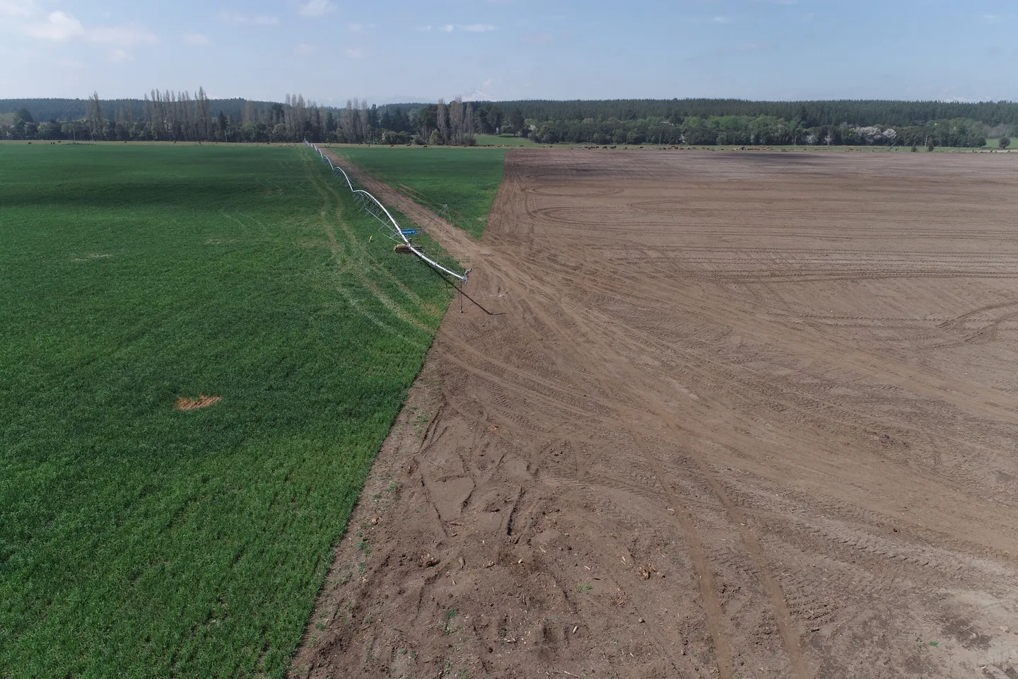 Pivote central en el límite entre un cultivo verde y suelo recién preparado; al fondo, álamos sin hojas y bosque.